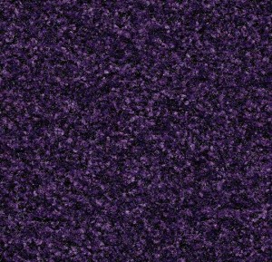 brush_uj_5709_royal_purple